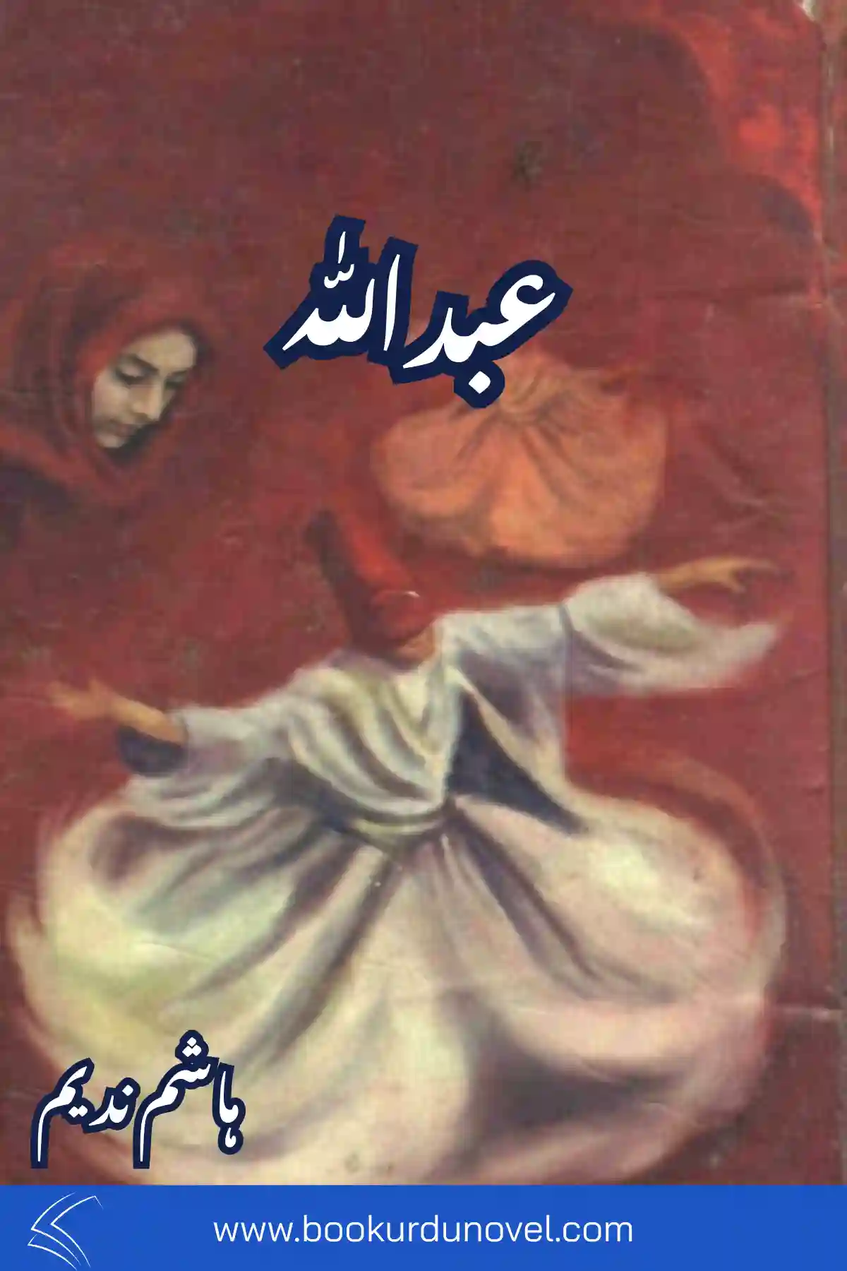 abdullah novel by hashim nadeem-book urdu novel-9346