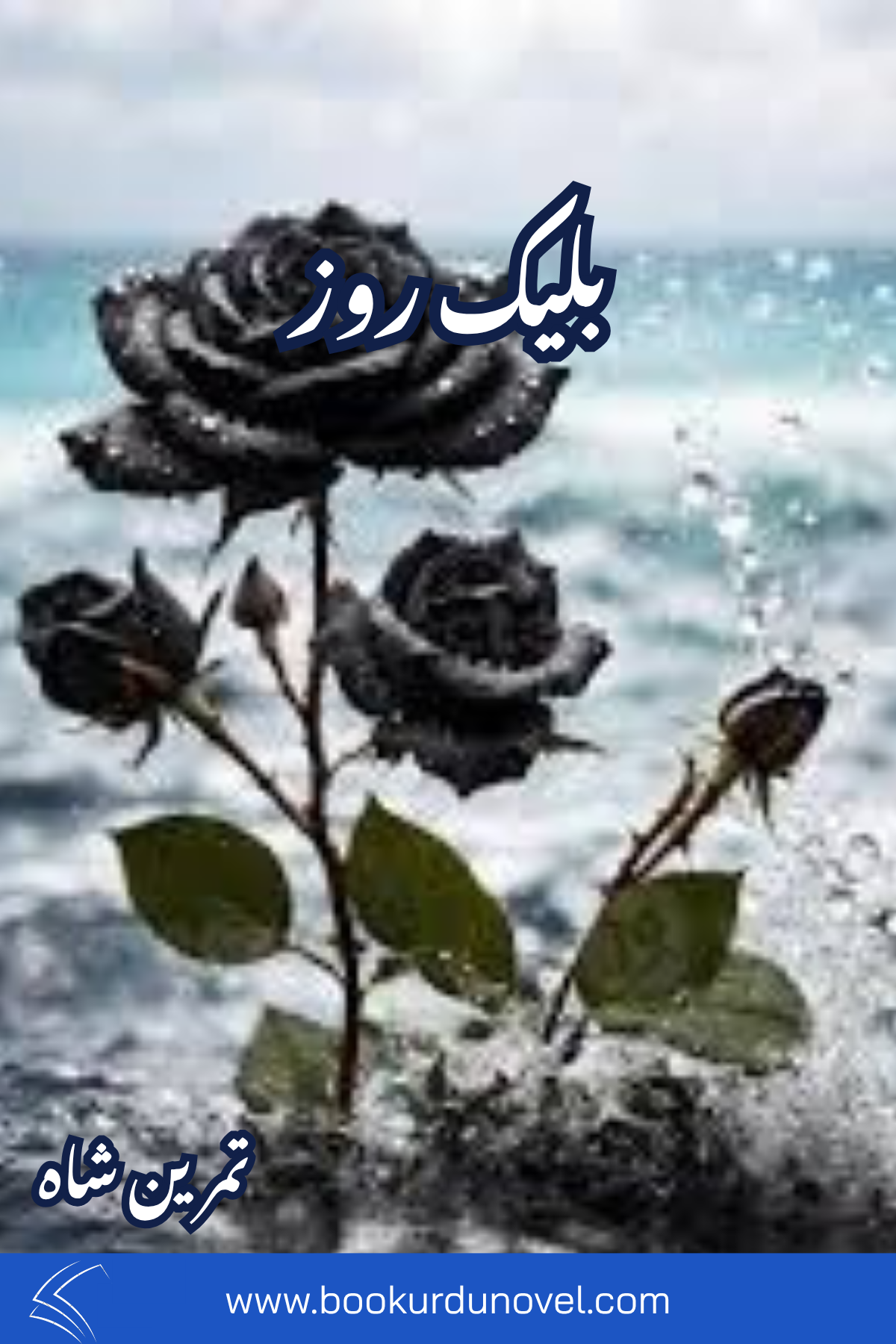 Black Rose Novel By Samreen Shah
